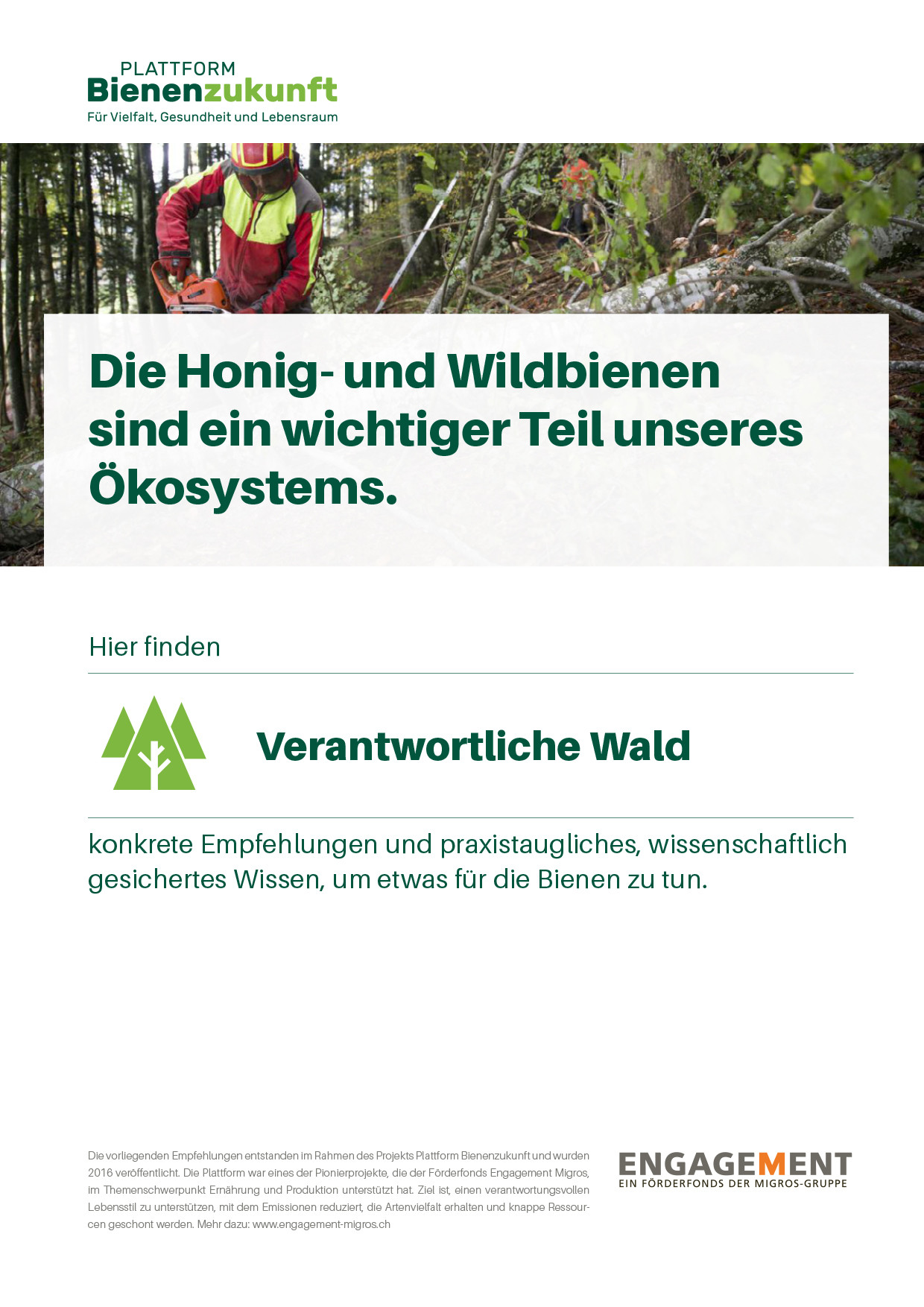 Mit Wissen und Praxistipps für Bienen mobilisieren.