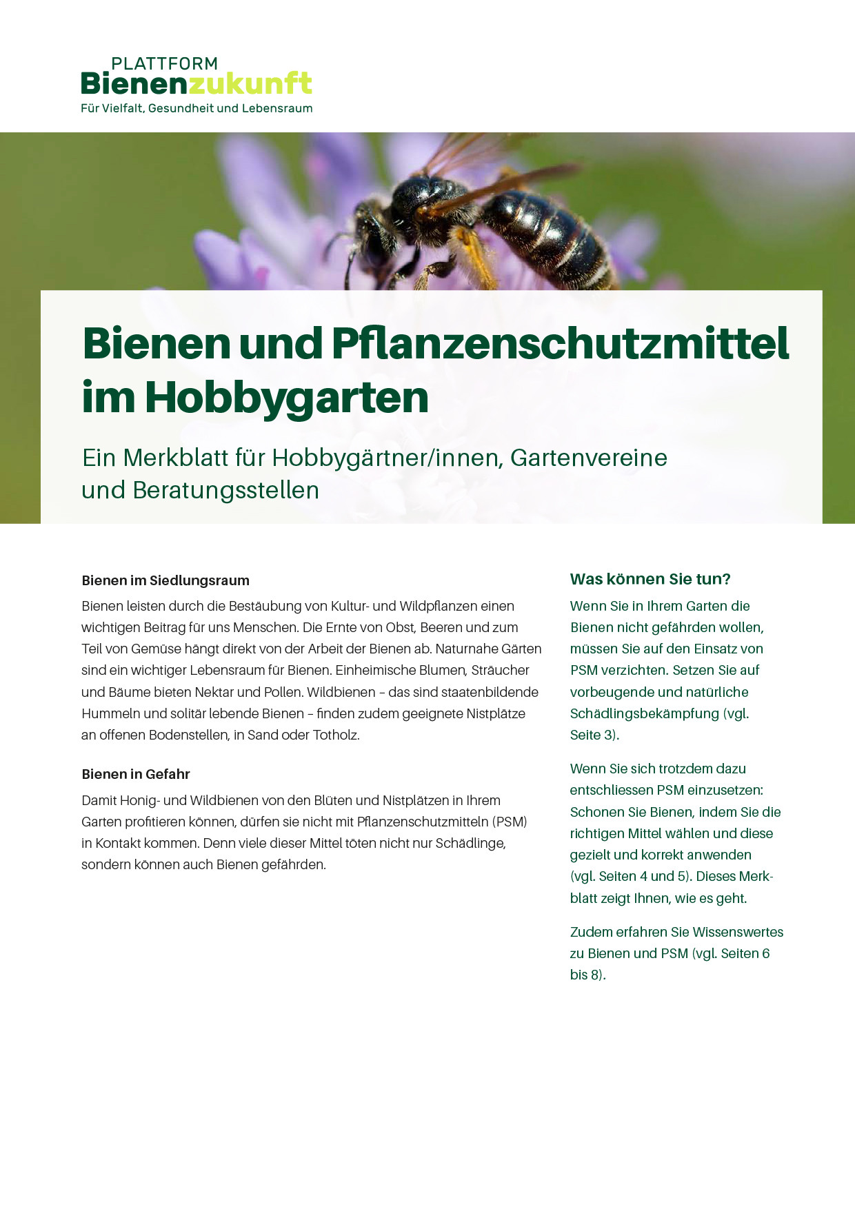 Mit Wissen und Praxistipps für Bienen mobilisieren.