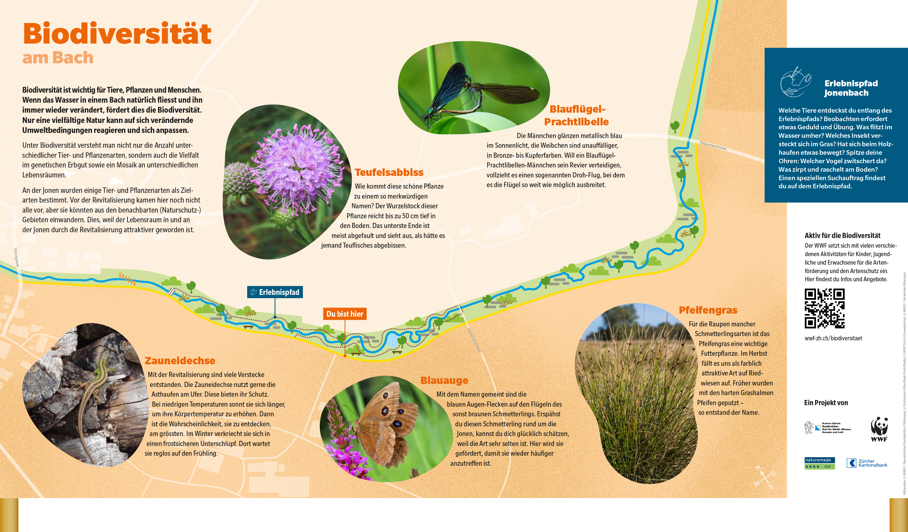 Vor Ort für ökologische Vielfalt sensibilisieren.