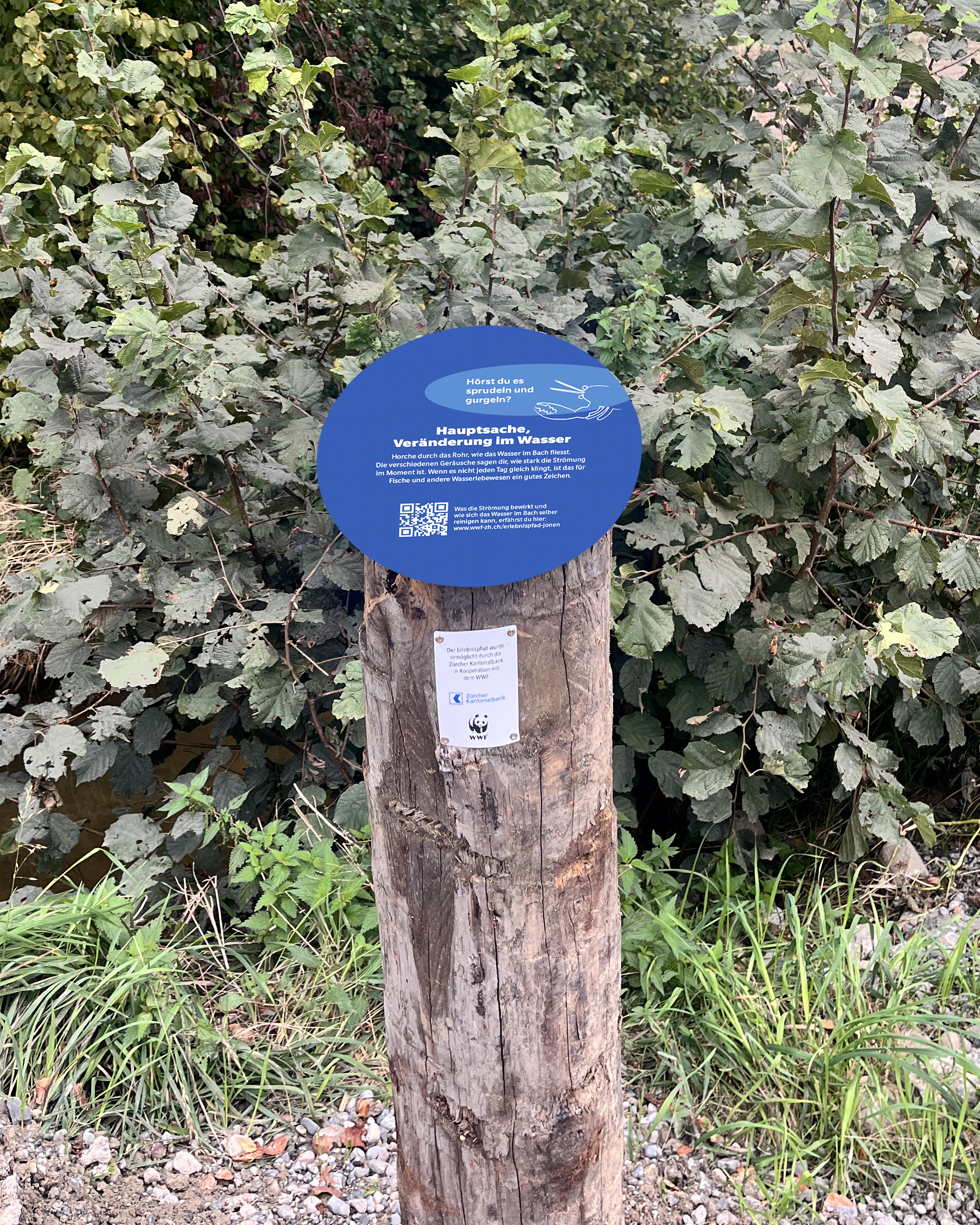 Vor Ort für ökologische Vielfalt sensibilisieren.