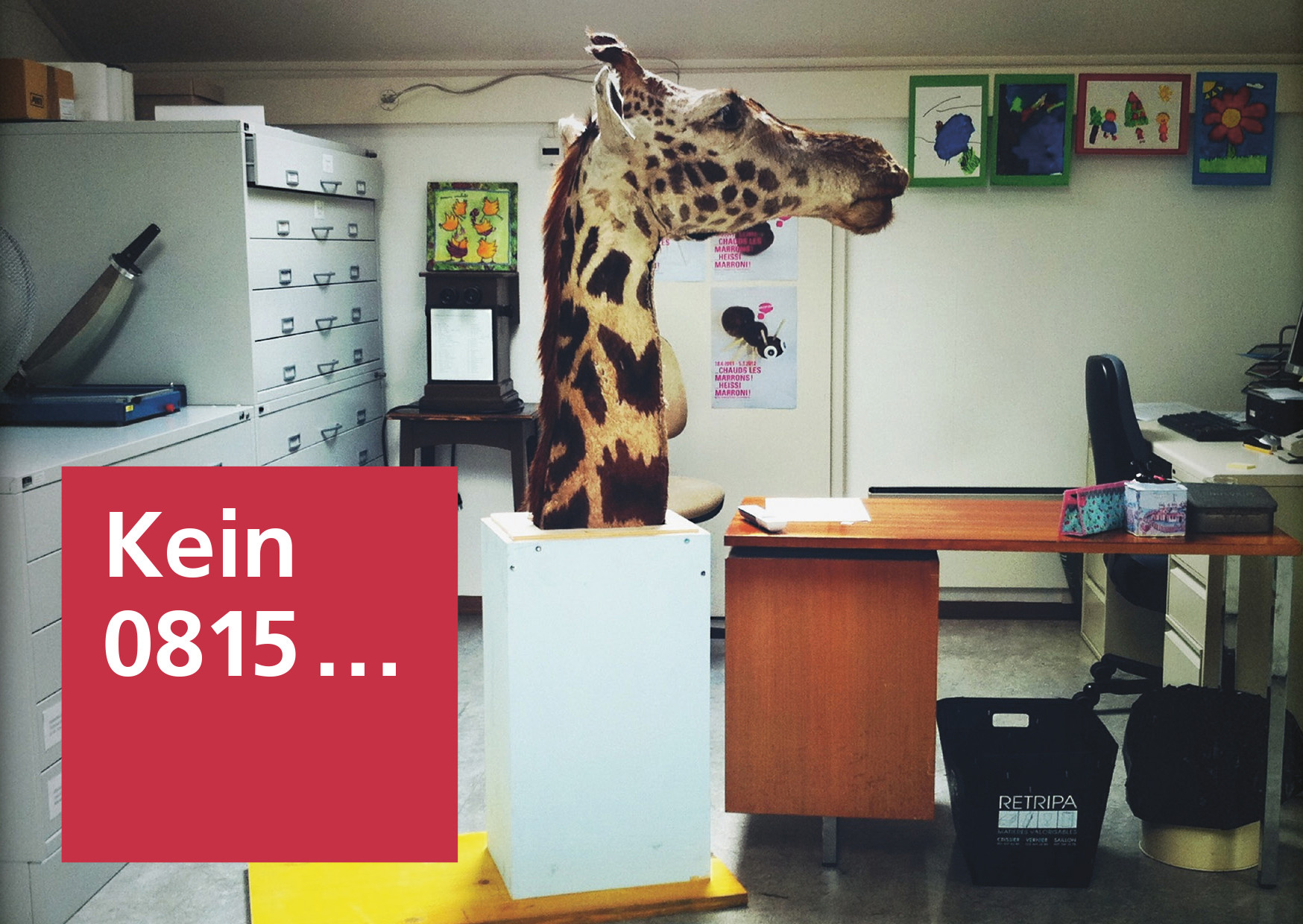 Im Bildungsdickicht Orientierung bieten.